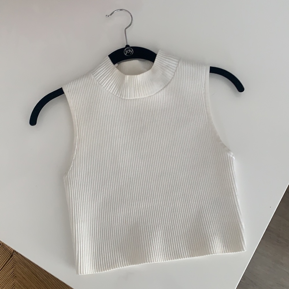 Aritzia Babaton Sculpt Knit Mockneck